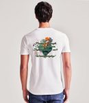 AM10-ERW-FRONT-copy-2.jpg